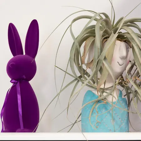 Apartamento Karlo 2 *